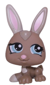 #1332 Baby Rabbit